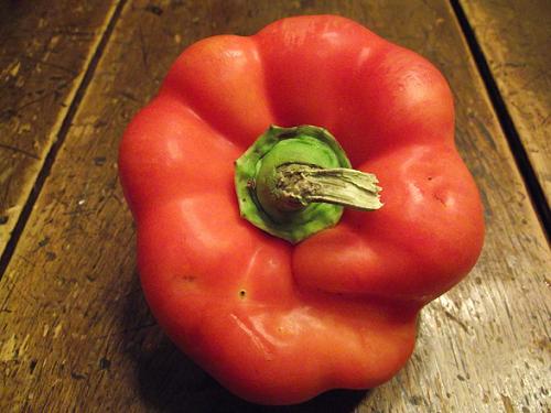 Poivron rouge - Sweet Red Pepper