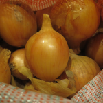 Oignons jaunes - Onions