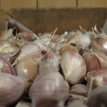 Plus d'ail - More Garlic