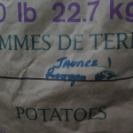 Pommes de terre Réal Samson Potatoes